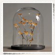 GLOBE OVALE SALIX - PAPILLONS ORANGE