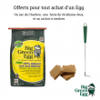 PACK BIG GREEN EGG START MEDIUM SUR CHARIOT ROULETTES