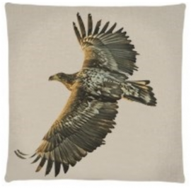 Coussins Eagles Cushions FS HOME