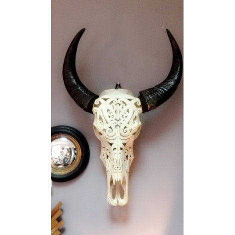 Buffalo Skull