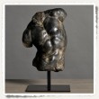 Torse d'Apollon noir